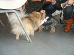 DSCF0399.JPG