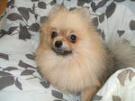 DSCF0400.JPG