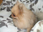 DSCF0401.JPG