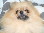 DSCF0402.JPG