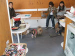 DSCF0409.JPG