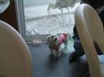 DSCF0414.JPG