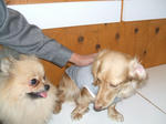 DSCF0415.JPG