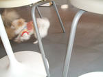 DSCF0428.JPG