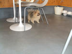DSCF0429.JPG