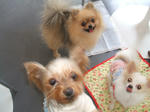 DSCF0430.JPG