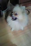 200903180845000.jpg