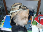 DSCF0434.JPG