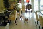 200903281347000.jpg