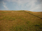 297a5c21.jpg