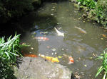 9f8d95d3.JPG