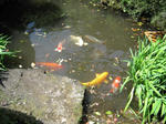 c3d2f530.JPG