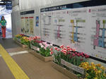 2429a2dc.JPG