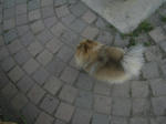 b4365e91.JPG