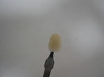 bc95ba44.JPG