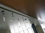 7029dcdc.JPG