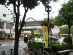 81f2ae61.JPG