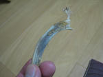 45f43a59.JPG