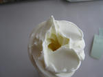 9b3e21f9.JPG