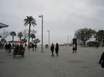 178.JPG