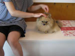 37c874f4.JPG