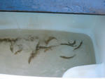 036595e7.JPG