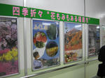 c476380f.JPG
