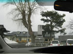 de98b5a7.JPG
