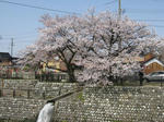 477d30d5.JPG