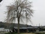 5a339c00.JPG