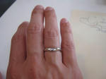 f6633e63.JPG