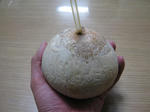 3ef6263e.JPG