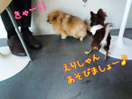 110220-q.jpg
