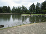 c8529075.JPG