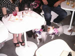 PIC_0005.JPG