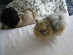 59986d9f.JPG