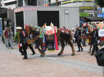 IMG_2852.JPG