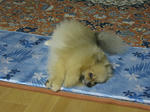 IMG_2913.JPG