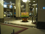 IMG_2915.JPG