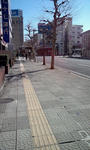 20130317094836.jpg
