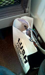 20130317114227.jpg