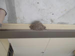 DSCN0121.JPG