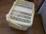 DSCN0145.JPG
