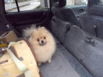 DSCN0146.JPG