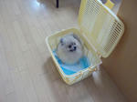 DSCN0148.JPG