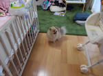DSCN0150.JPG