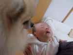 DSCN0151.JPG
