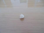 DSCN0177.JPG