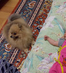 DSCN0259.JPG