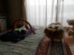 DSCN0319.JPG